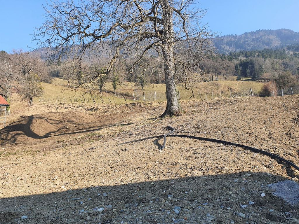 Terrain CERVENS 220000€ BOUCHER IMMOBILIER Terrain CERVENS 220000€ BOUCHER IMMOBILIER