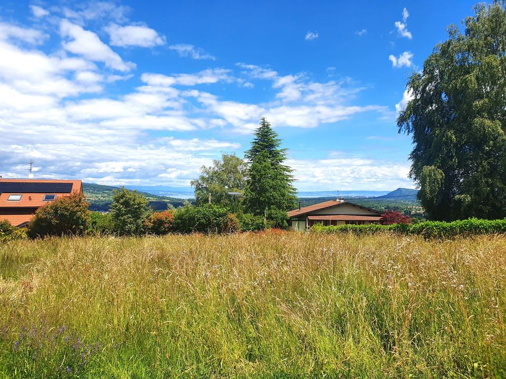Terrain BONS EN CHABLAIS 235000€ BOUCHER IMMOBILIER